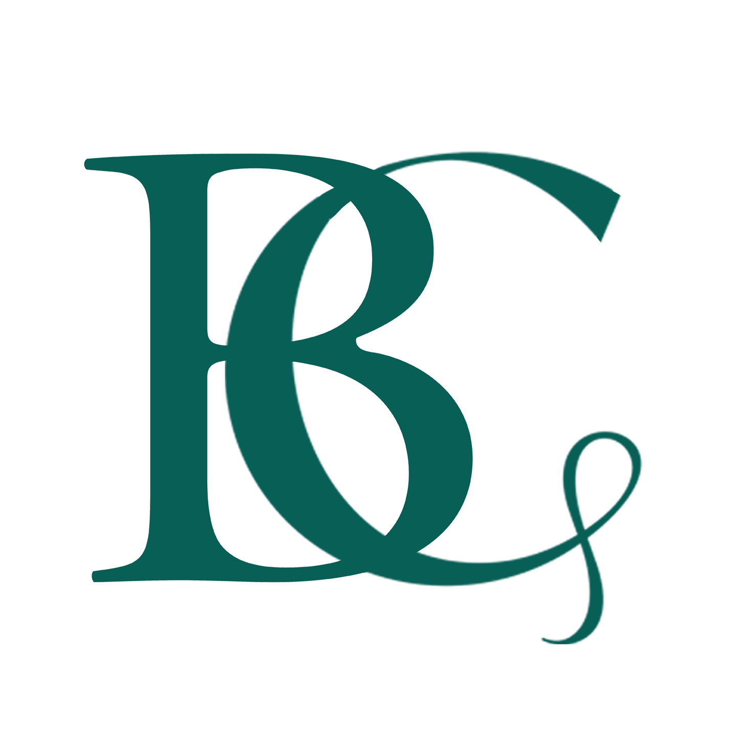 Belize Web Consulting